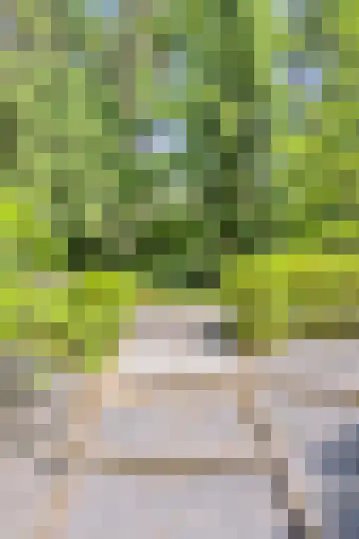 Hanendorperweg 246 Emst thumbnail 32