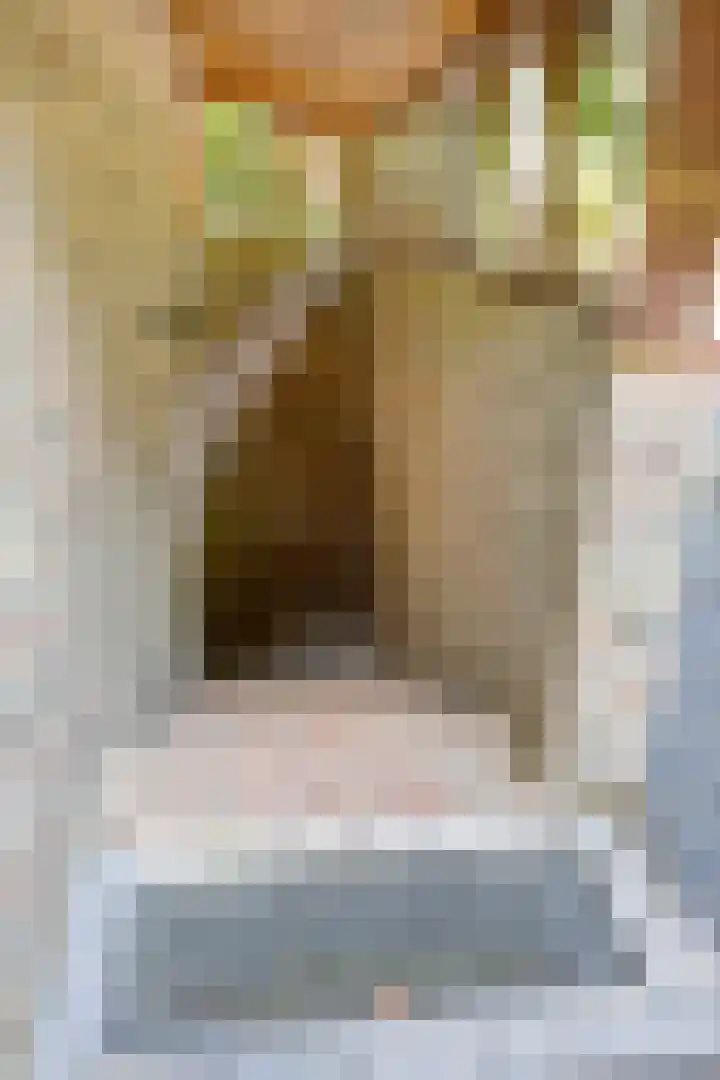 Hanendorperweg 246 Emst thumbnail 33