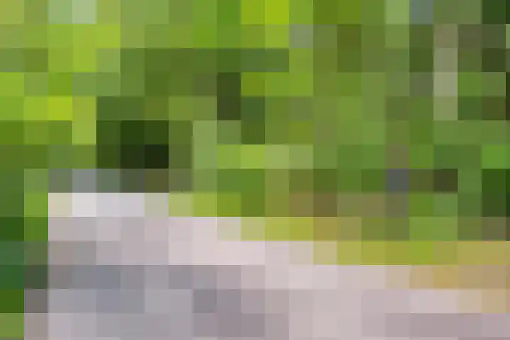 Hanendorperweg 246 Emst thumbnail 34