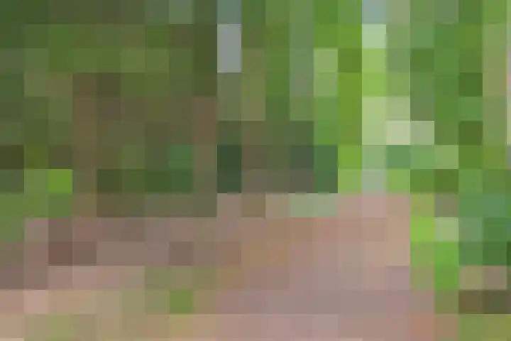 Hanendorperweg 246 Emst thumbnail 35
