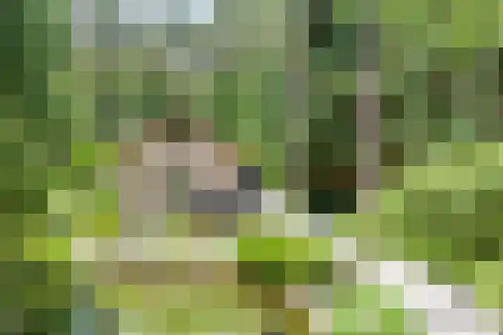 Hanendorperweg 246 Emst thumbnail 4