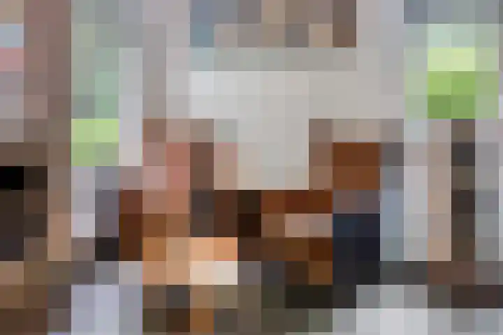 Hanendorperweg 246 Emst thumbnail 40