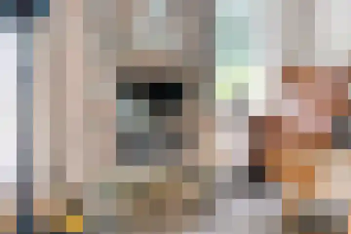 Hanendorperweg 246 Emst thumbnail 41