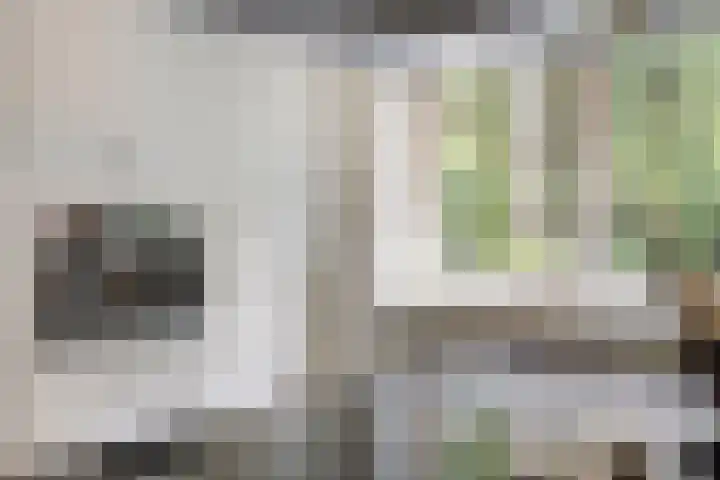 Hanendorperweg 246 Emst thumbnail 44