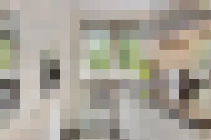 Hanendorperweg 246 Emst thumbnail 45