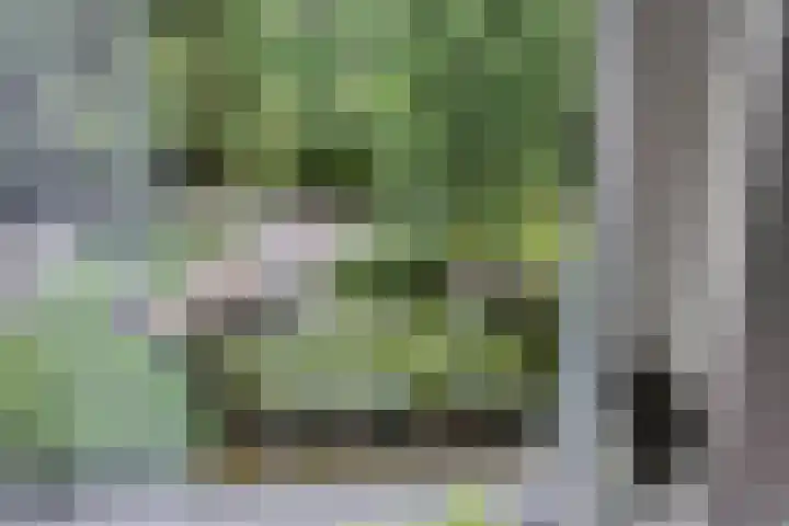 Hanendorperweg 246 Emst thumbnail 60