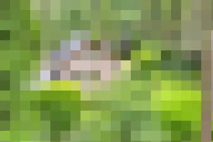 Hanendorperweg 246 Emst thumbnail 7