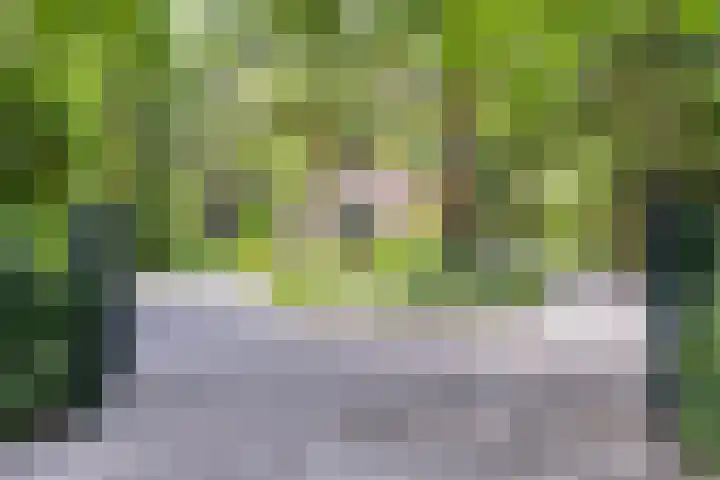 Hanendorperweg 246 Emst thumbnail 8