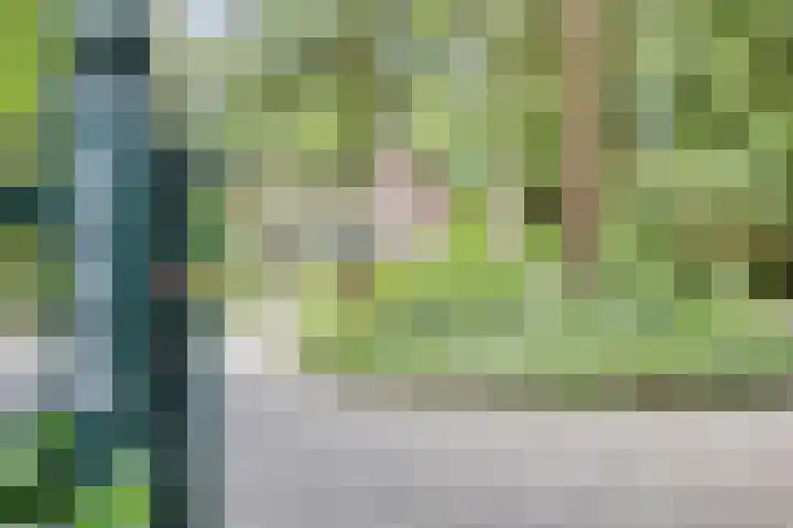 Hanendorperweg 246 Emst thumbnail 9