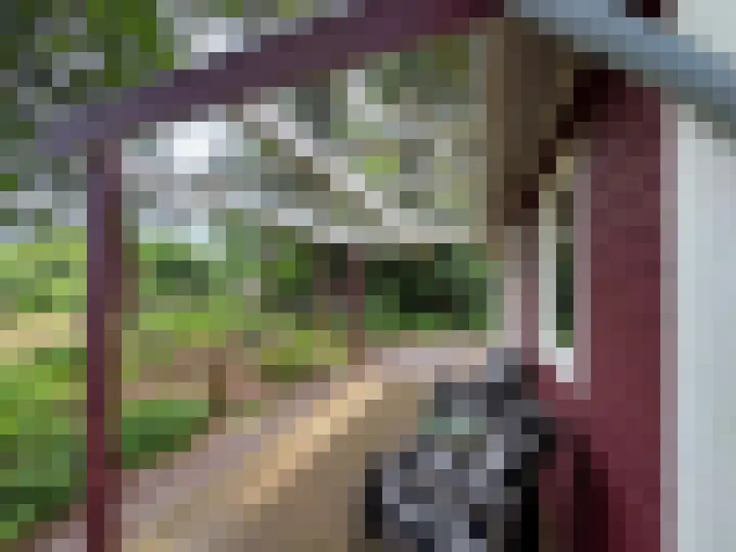 Hanendorperweg 366 Emst thumbnail 10