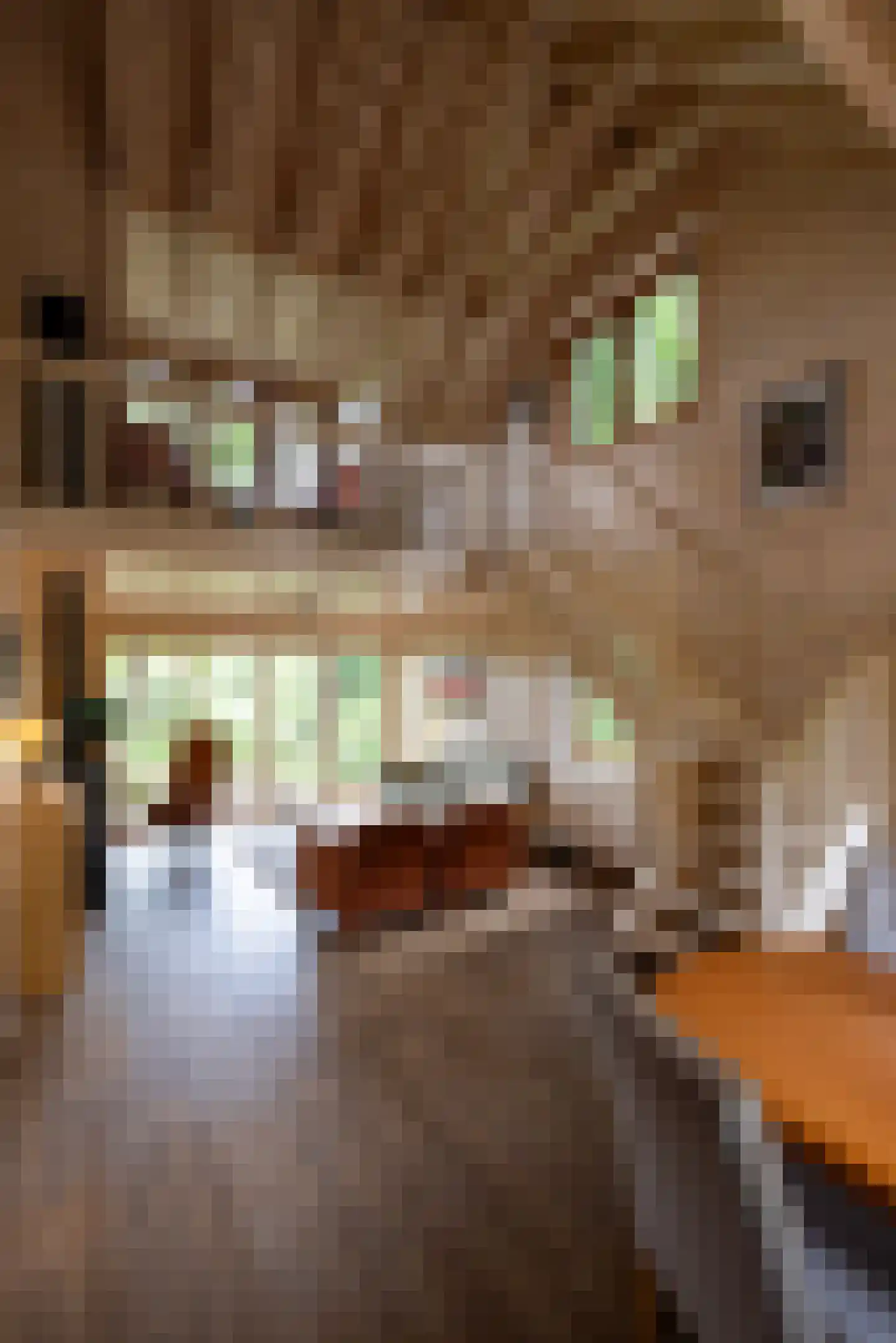 Hanendorperweg 366 Emst thumbnail 12