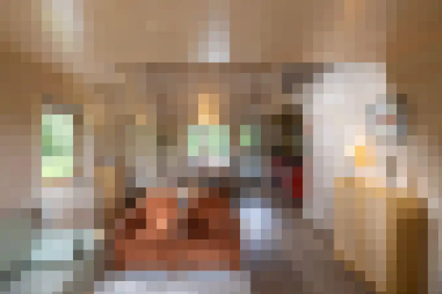 Hanendorperweg 366 Emst thumbnail 13