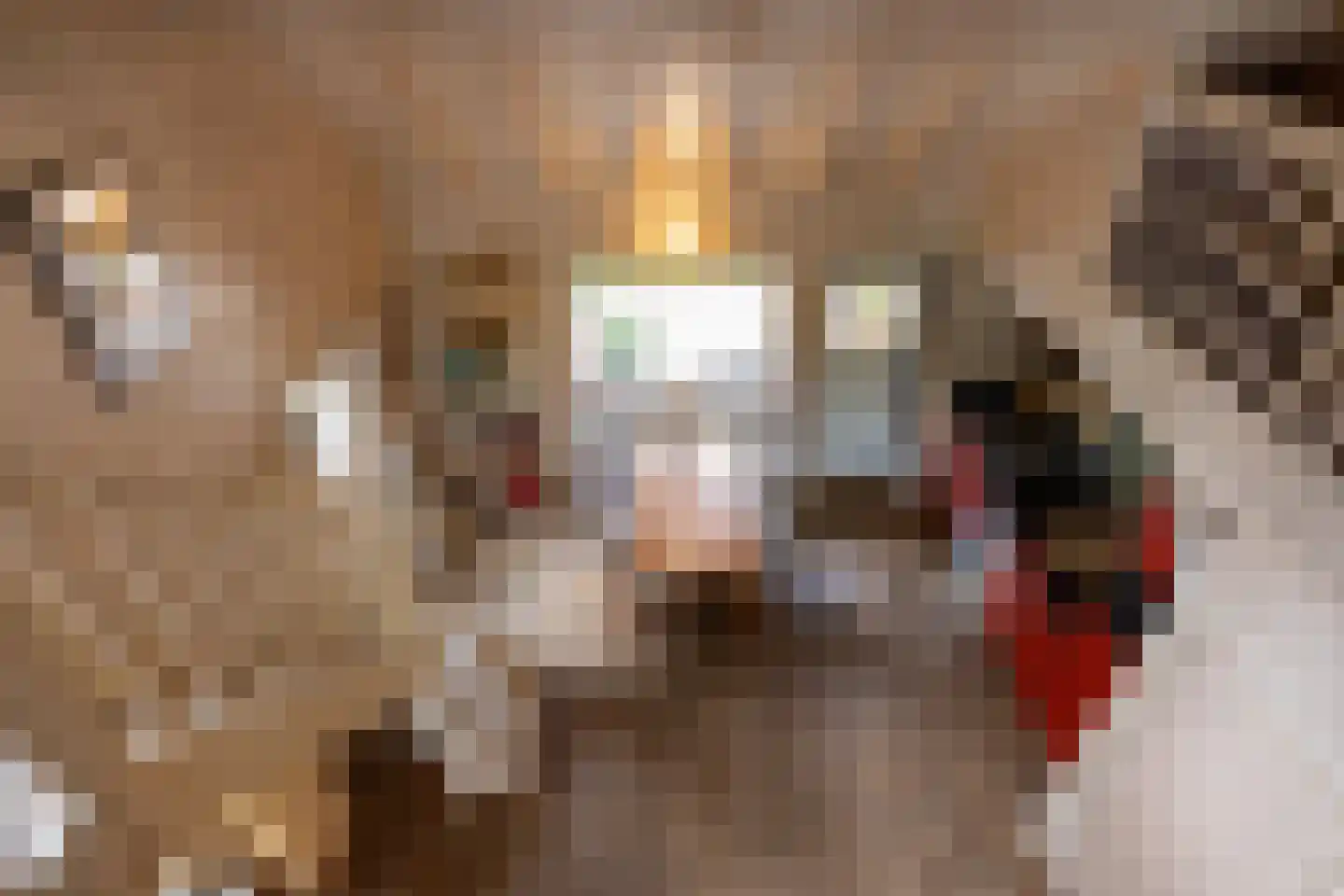 Hanendorperweg 366 Emst thumbnail 19