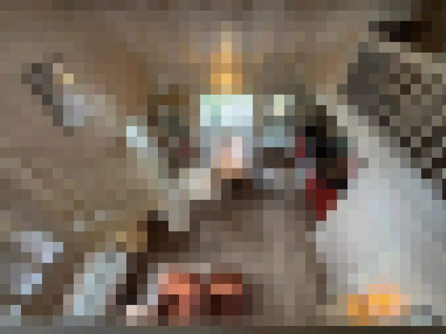 Hanendorperweg 366 Emst thumbnail 24