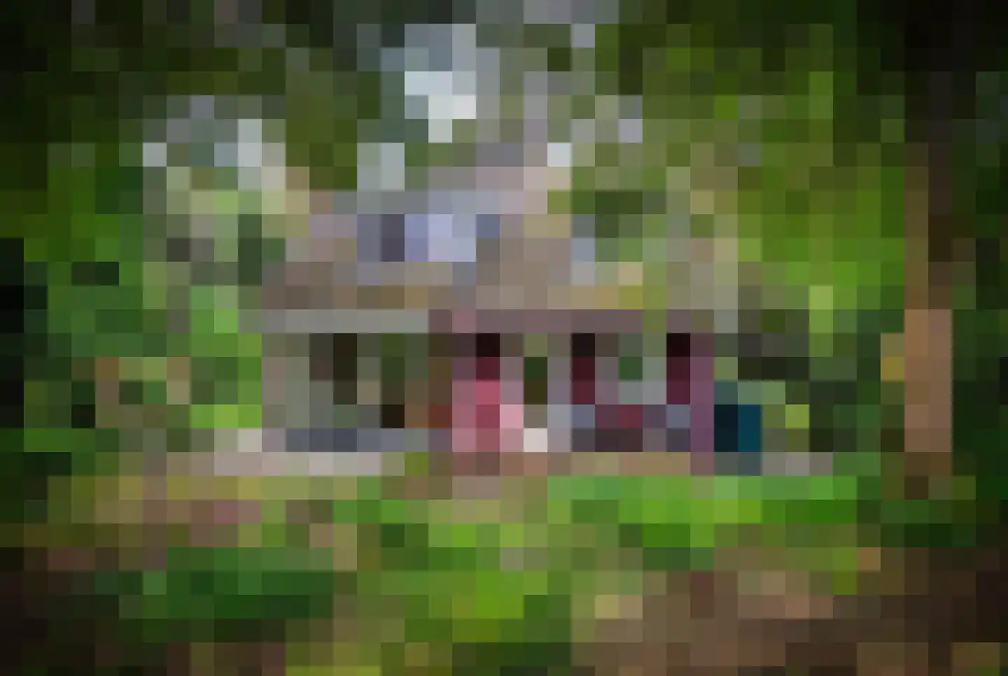 Hanendorperweg 366 Emst thumbnail 29
