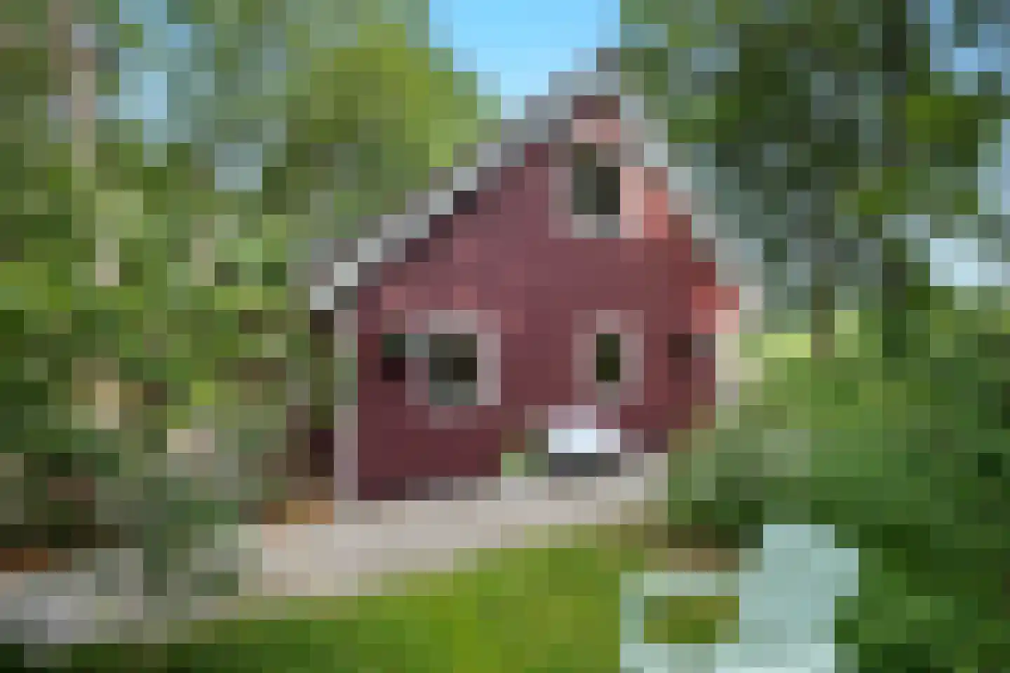 Hanendorperweg 366 Emst thumbnail 33