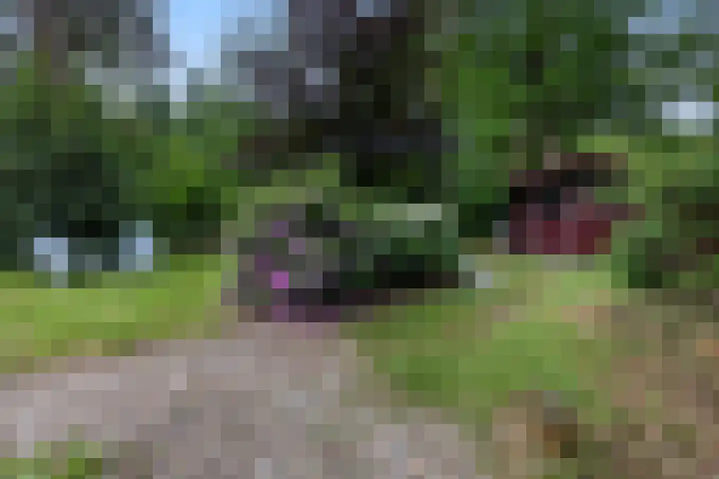 Hanendorperweg 366 Emst thumbnail 34