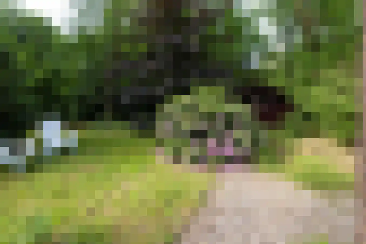Hanendorperweg 366 Emst thumbnail 35