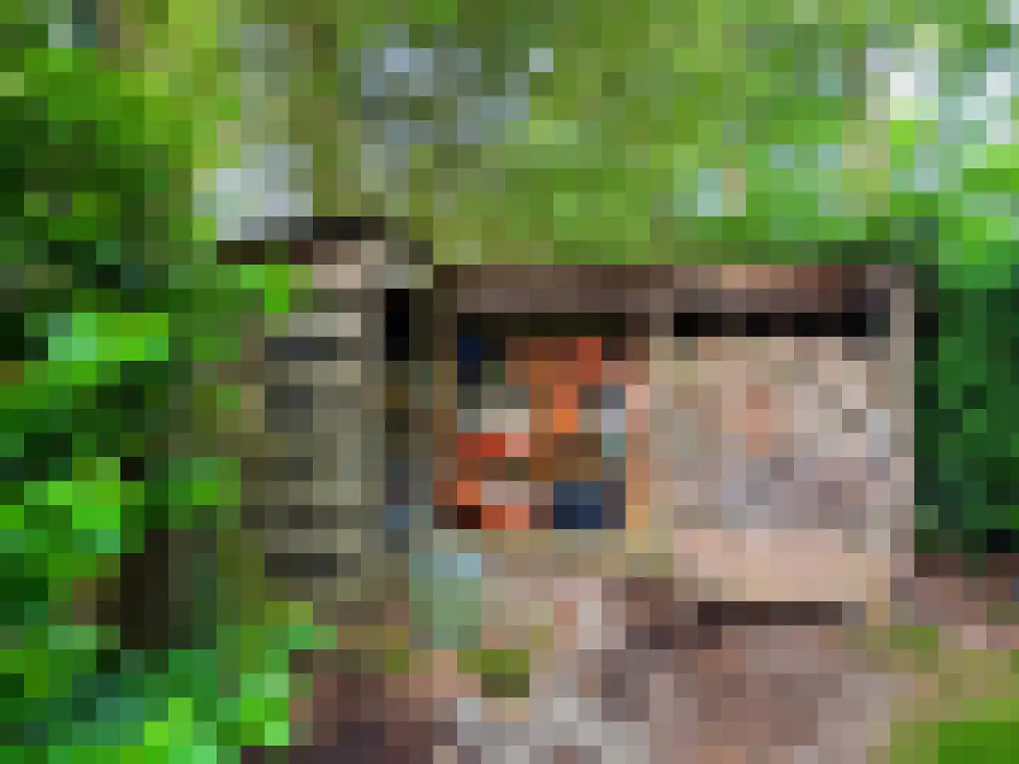 Hanendorperweg 366 Emst thumbnail 36