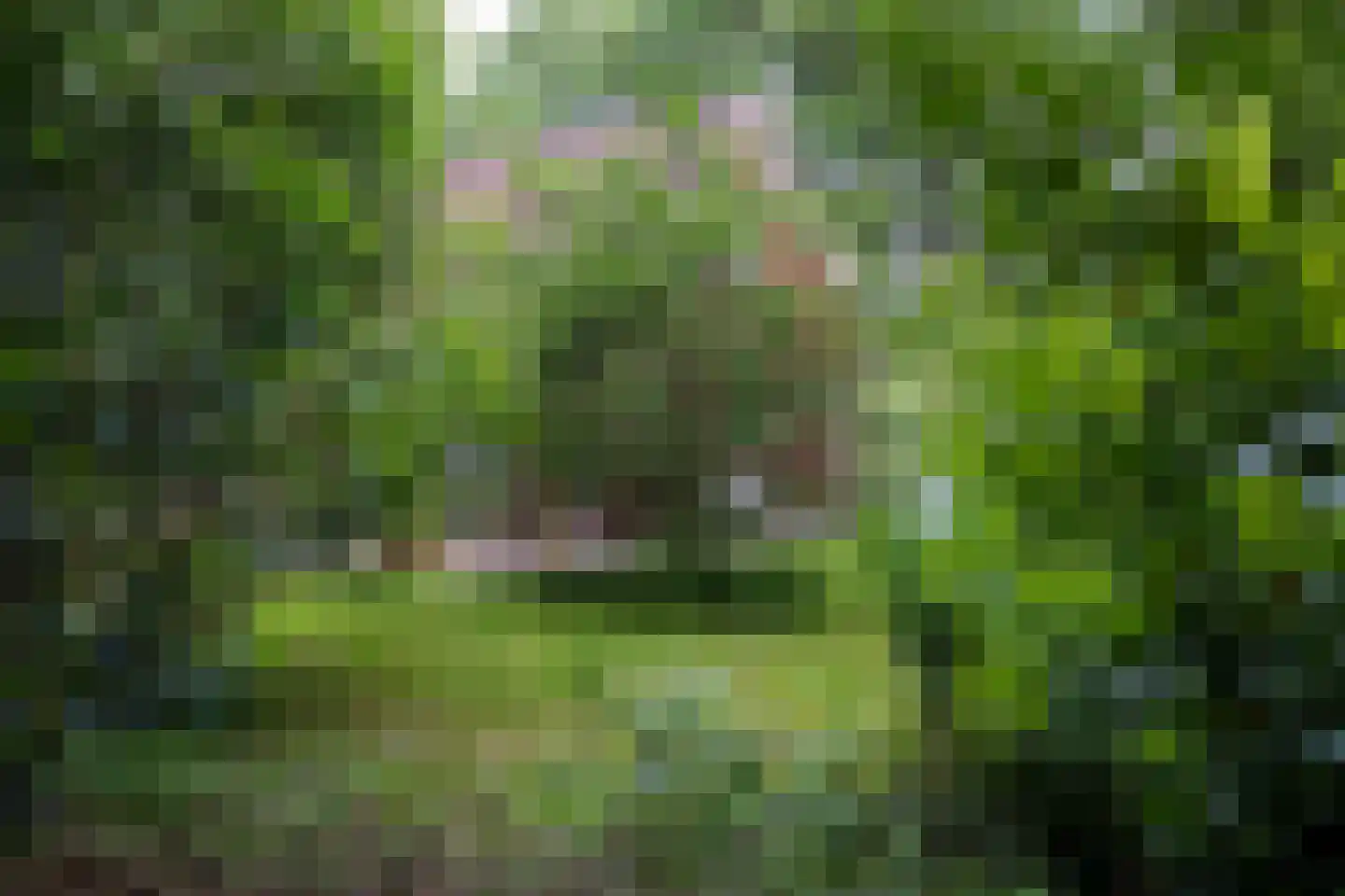 Hanendorperweg 366 Emst thumbnail 37