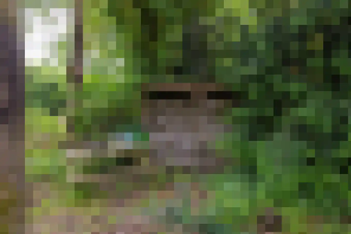 Hanendorperweg 366 Emst thumbnail 38