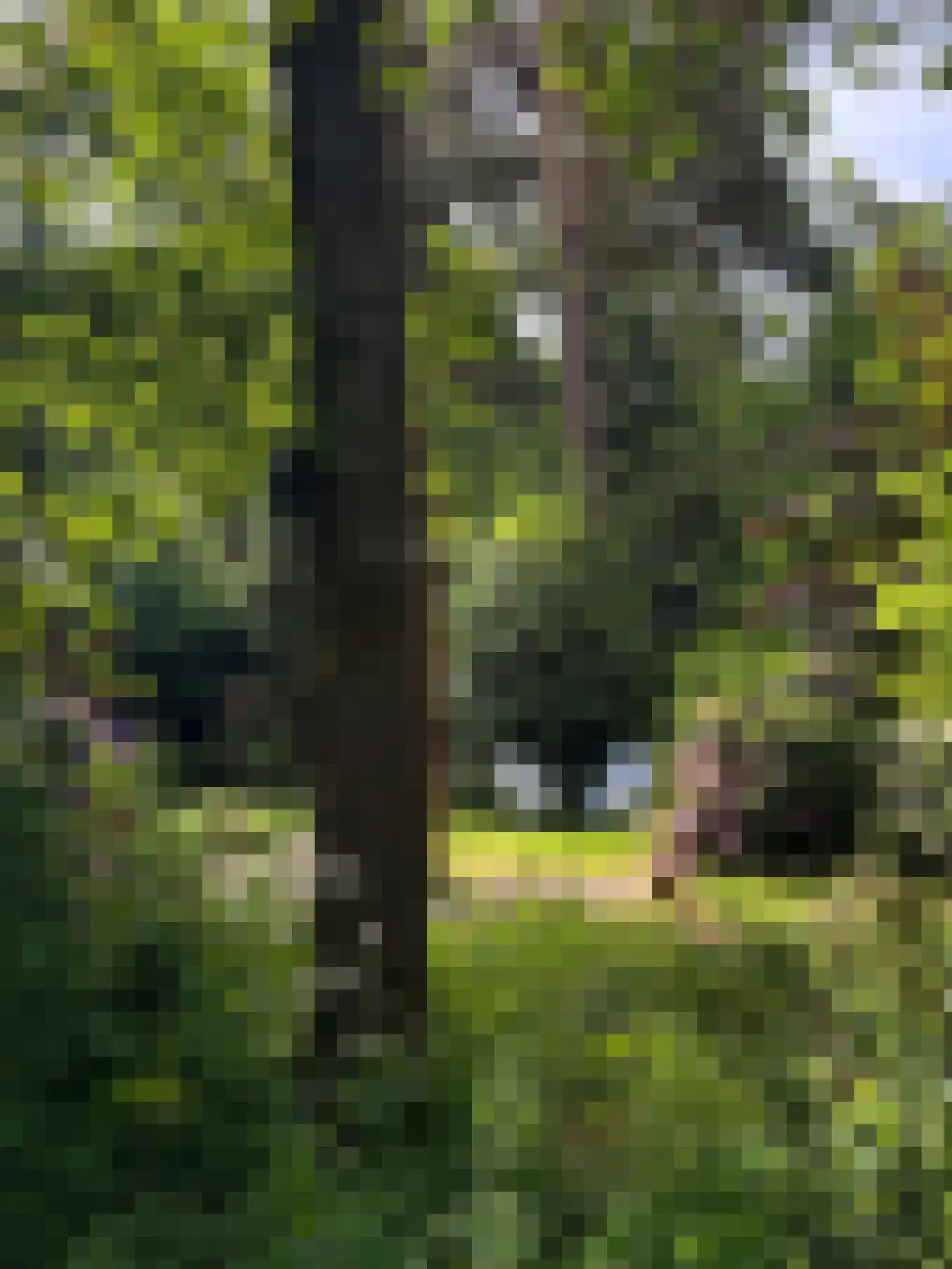 Hanendorperweg 366 Emst thumbnail 39