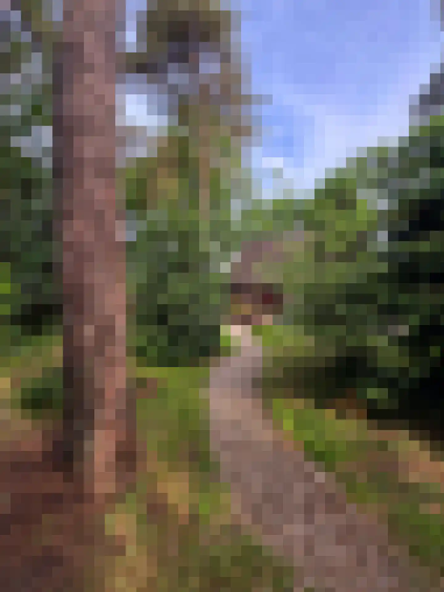 Hanendorperweg 366 Emst thumbnail 4