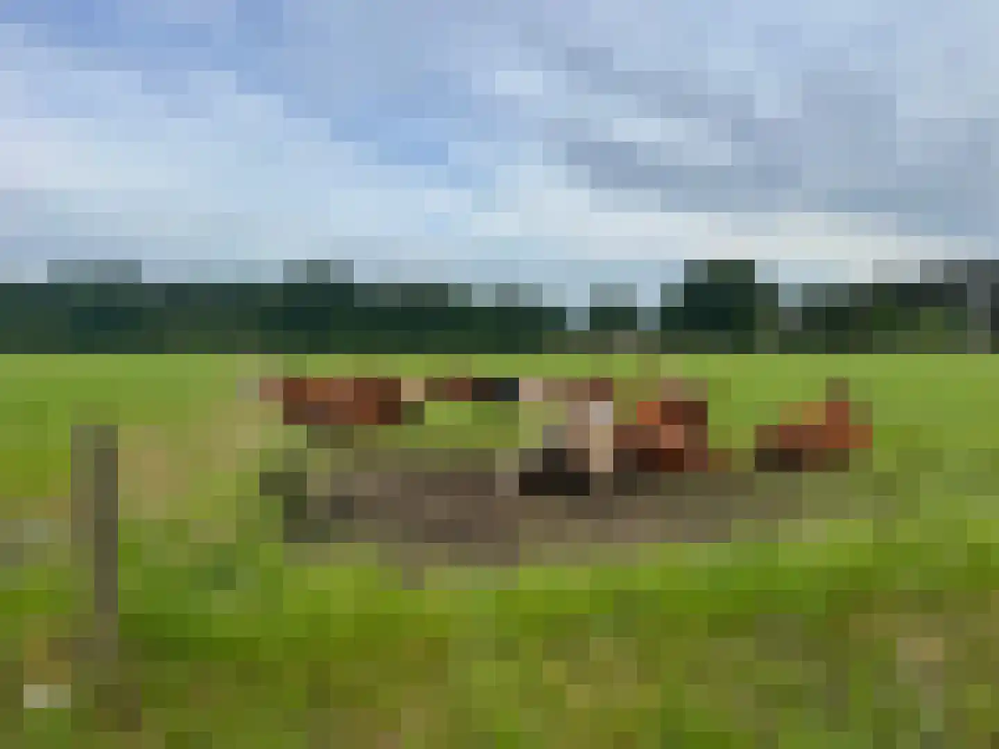 Hanendorperweg 366 Emst thumbnail 40