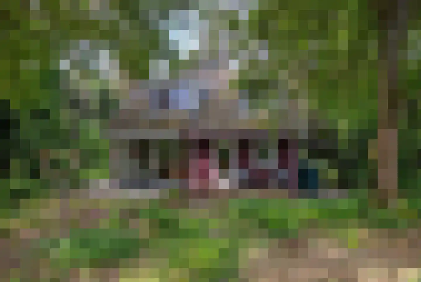Hanendorperweg 366 Emst thumbnail 41