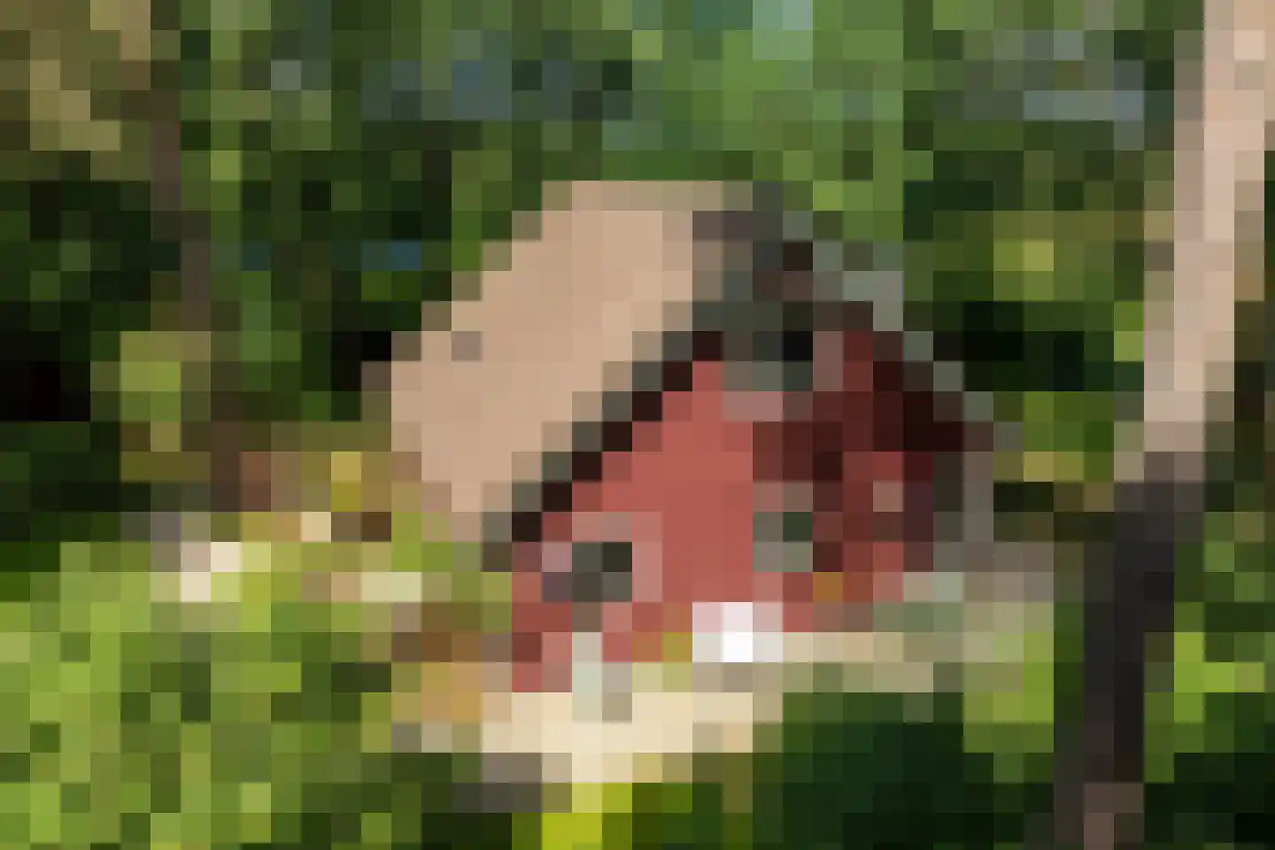 Hanendorperweg 366 Emst thumbnail 42