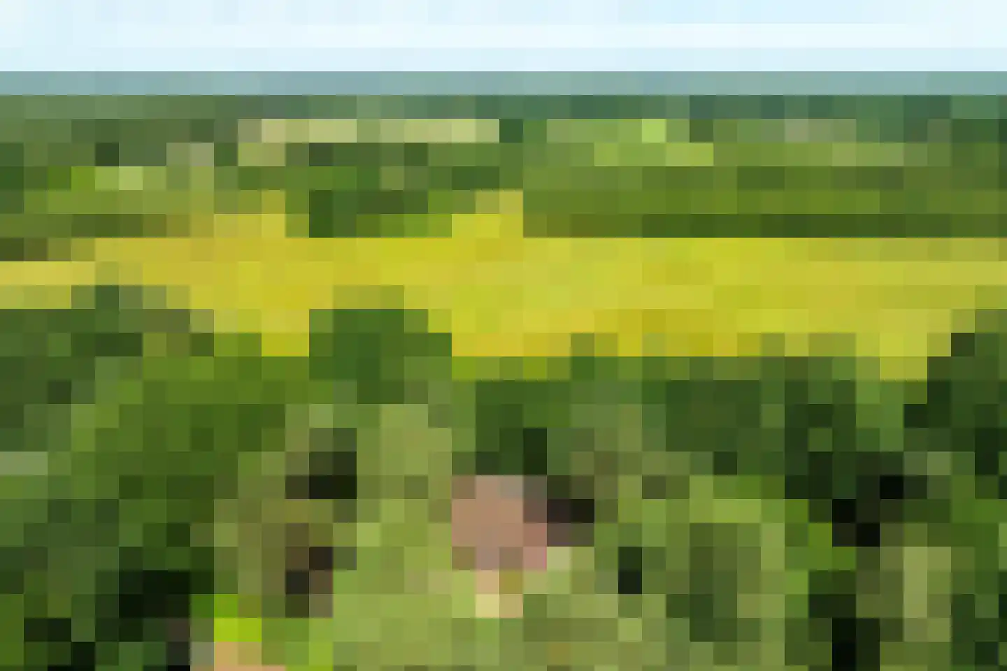 Hanendorperweg 366 Emst thumbnail 43