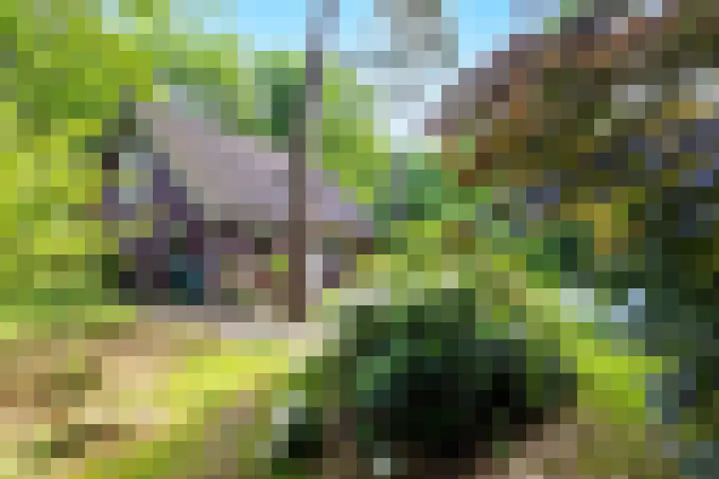 Hanendorperweg 366 Emst thumbnail 5