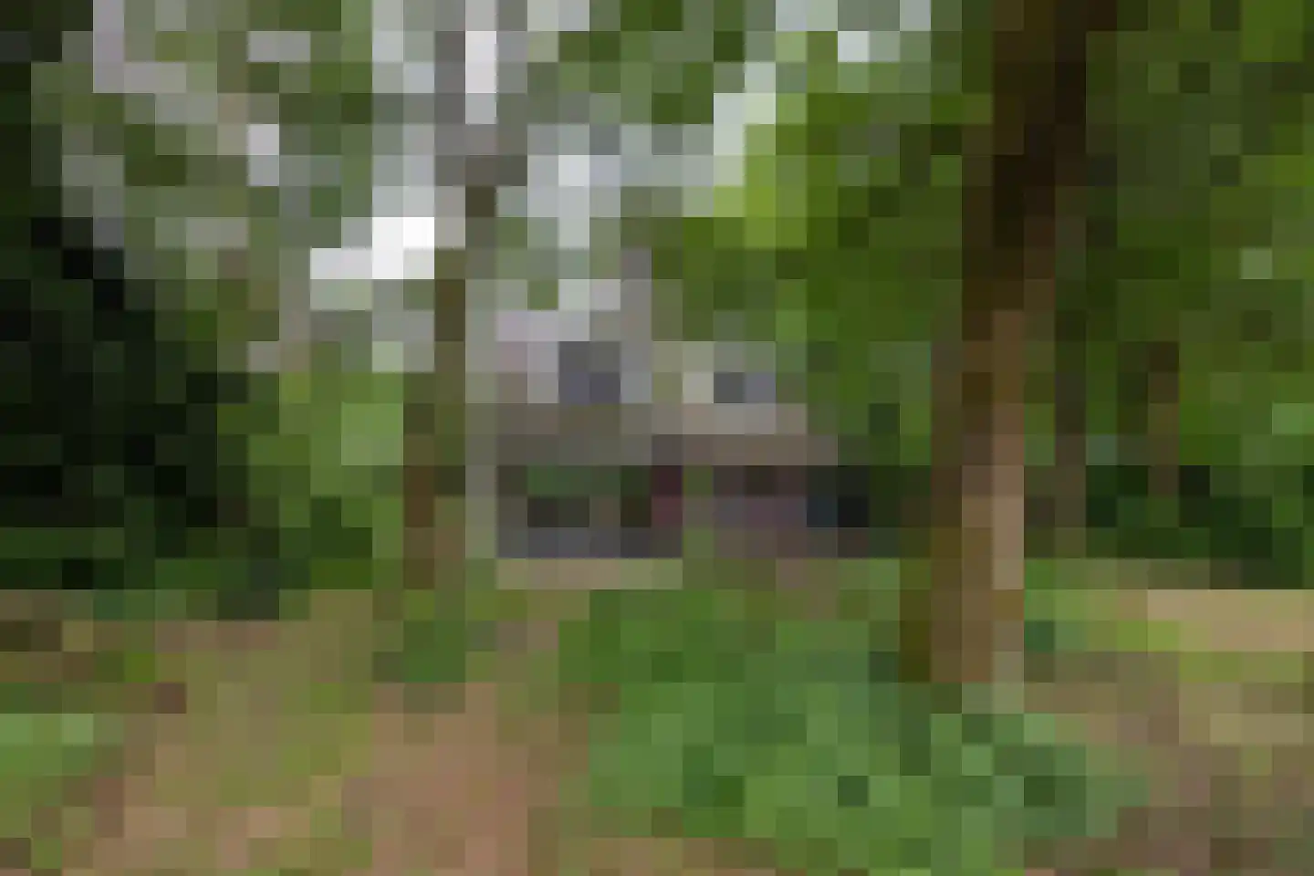 Hanendorperweg 366 Emst thumbnail 6