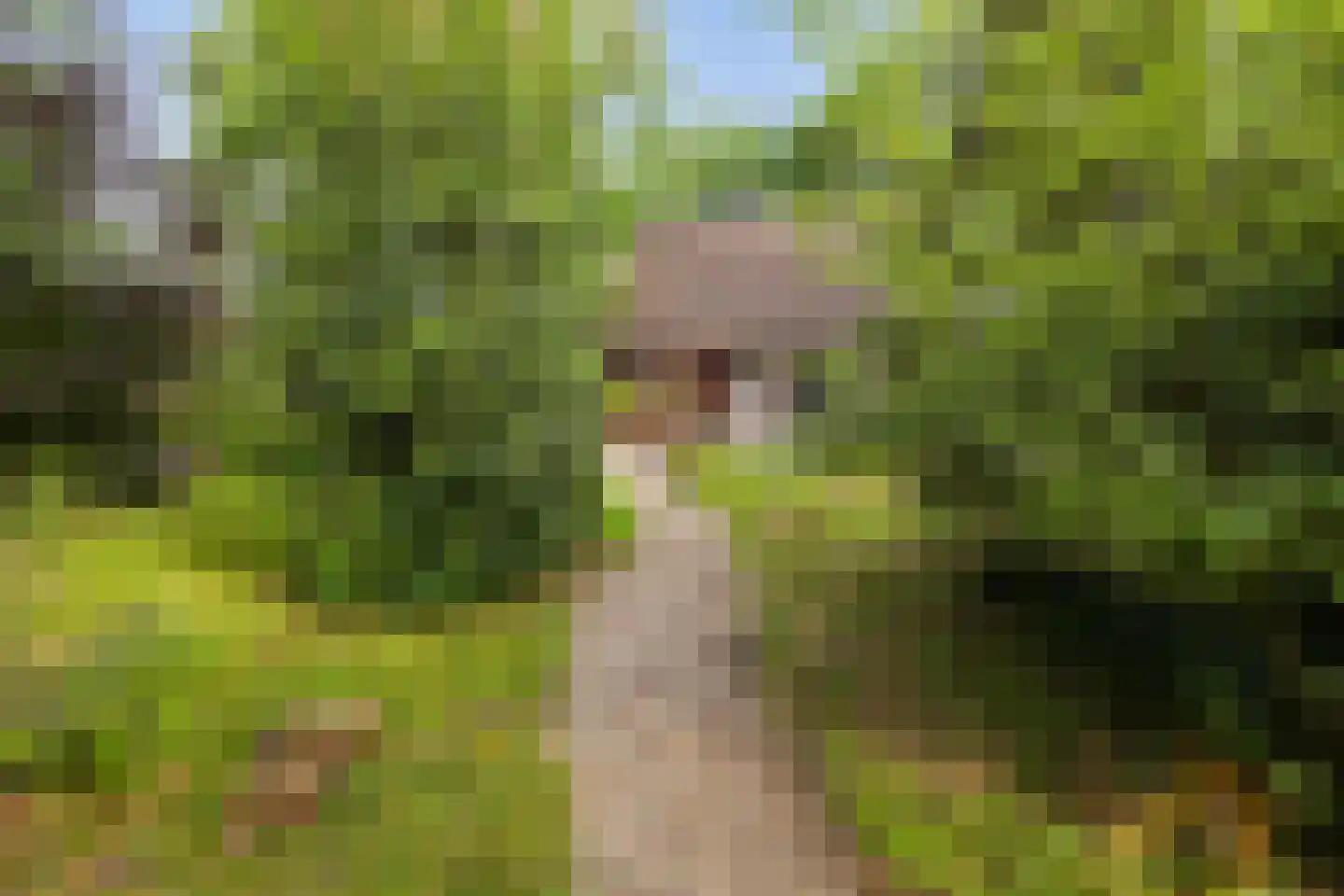 Hanendorperweg 366 Emst thumbnail 7