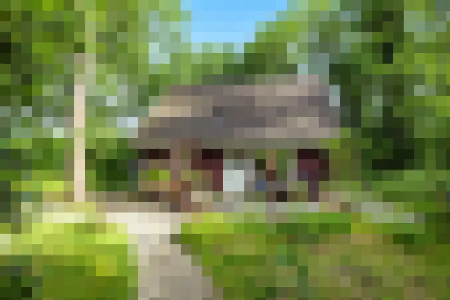 Hanendorperweg 366 Emst thumbnail 8