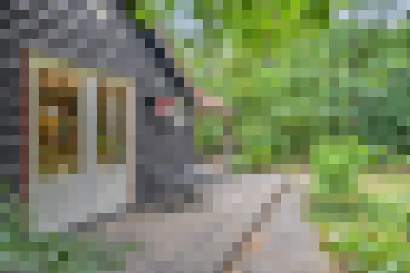 Hanendorperweg 416 Emst thumbnail 16