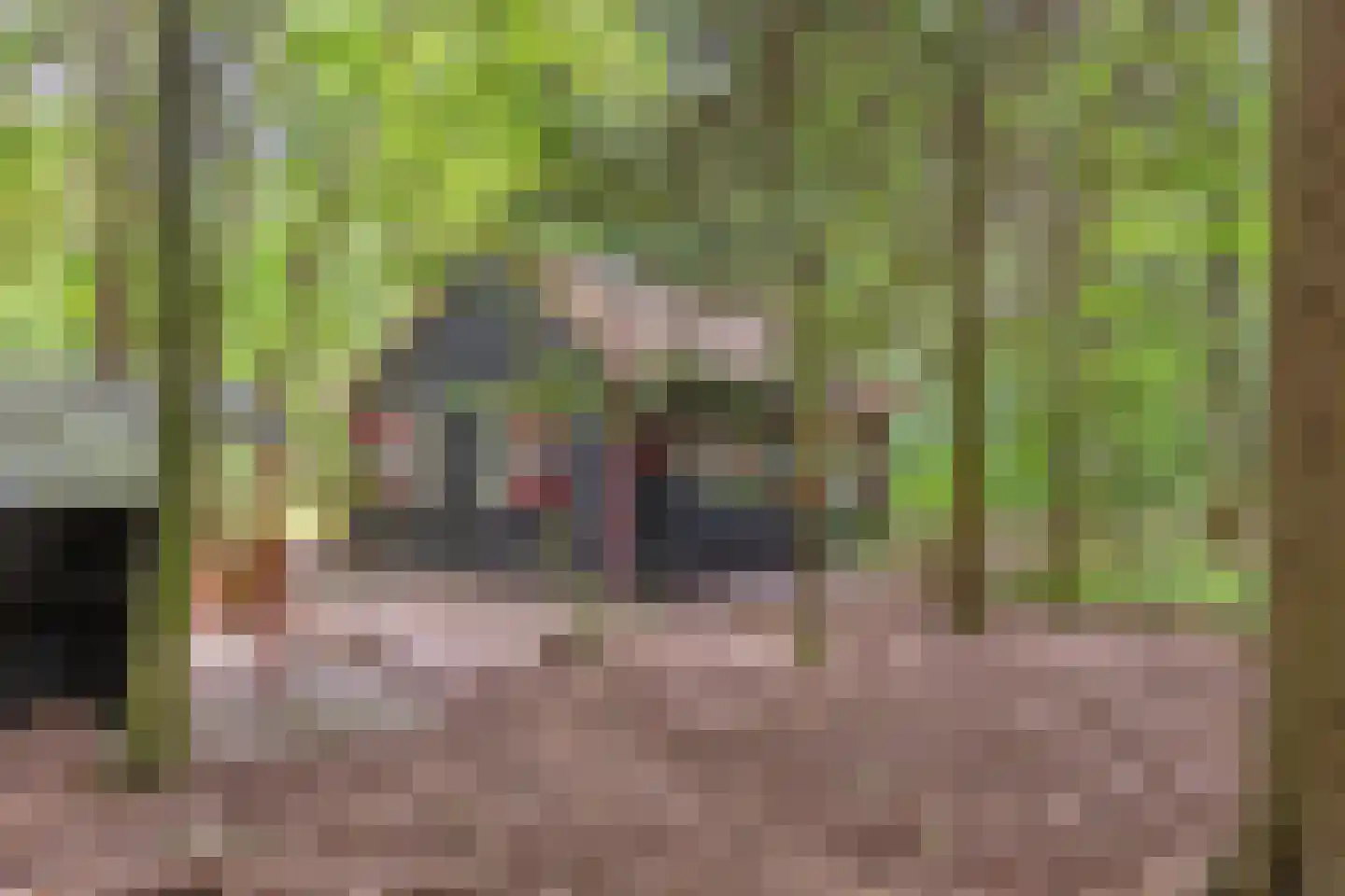 Hanendorperweg 416 Emst thumbnail 21