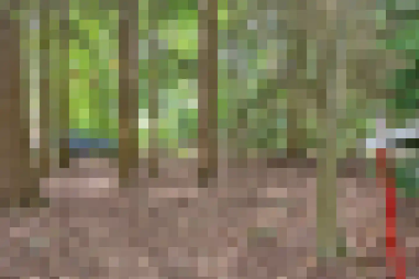 Hanendorperweg 416 Emst thumbnail 22