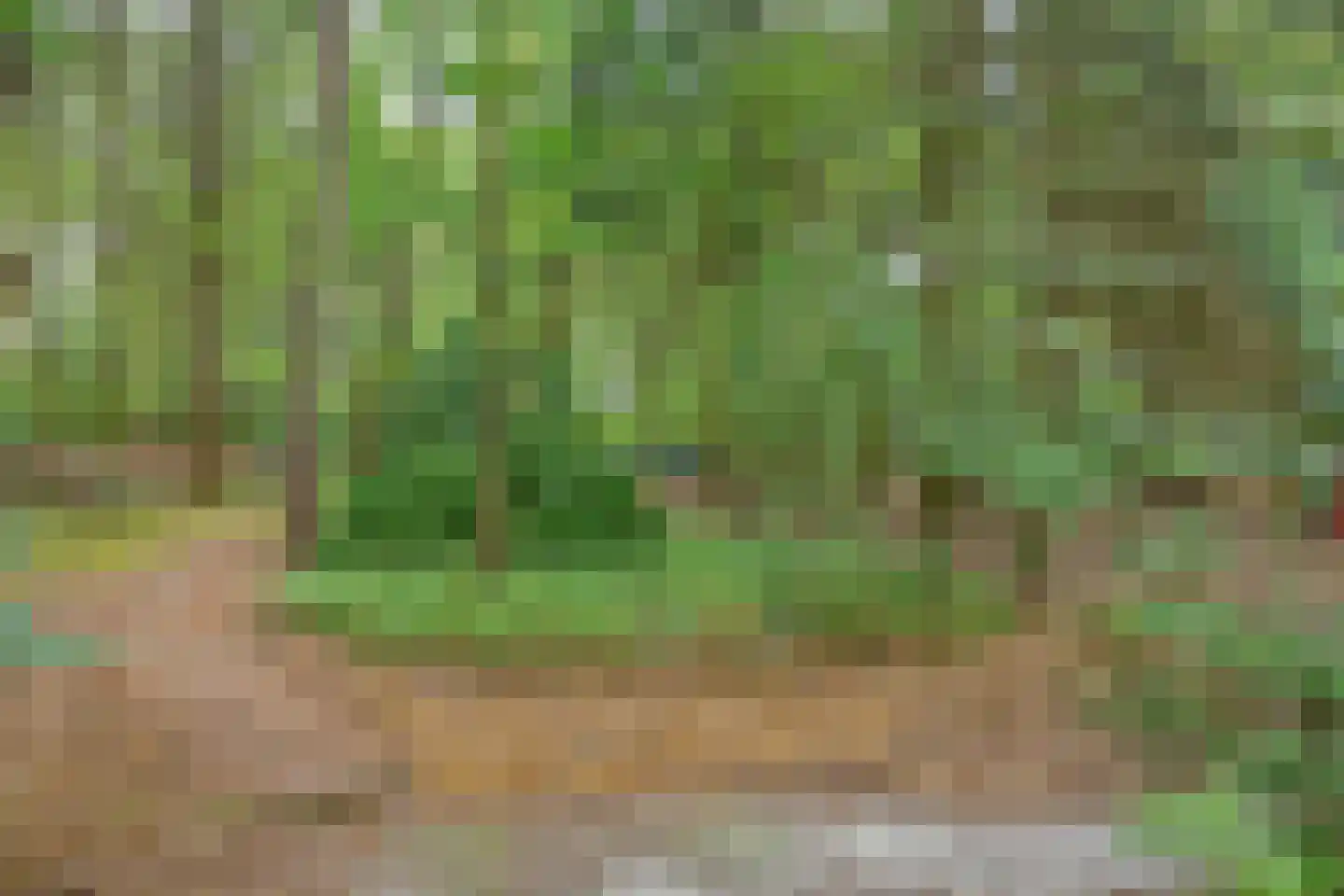 Hanendorperweg 416 Emst thumbnail 23
