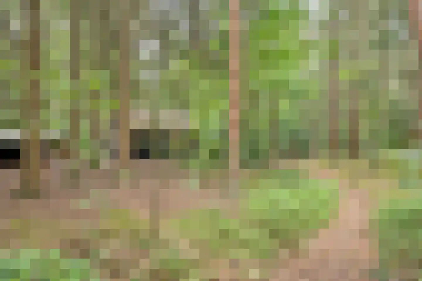 Hanendorperweg 416 Emst thumbnail 24