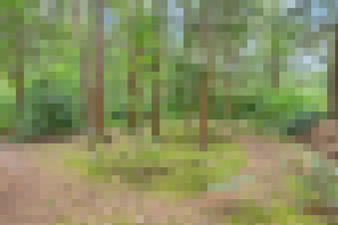 Hanendorperweg 416 Emst thumbnail 25