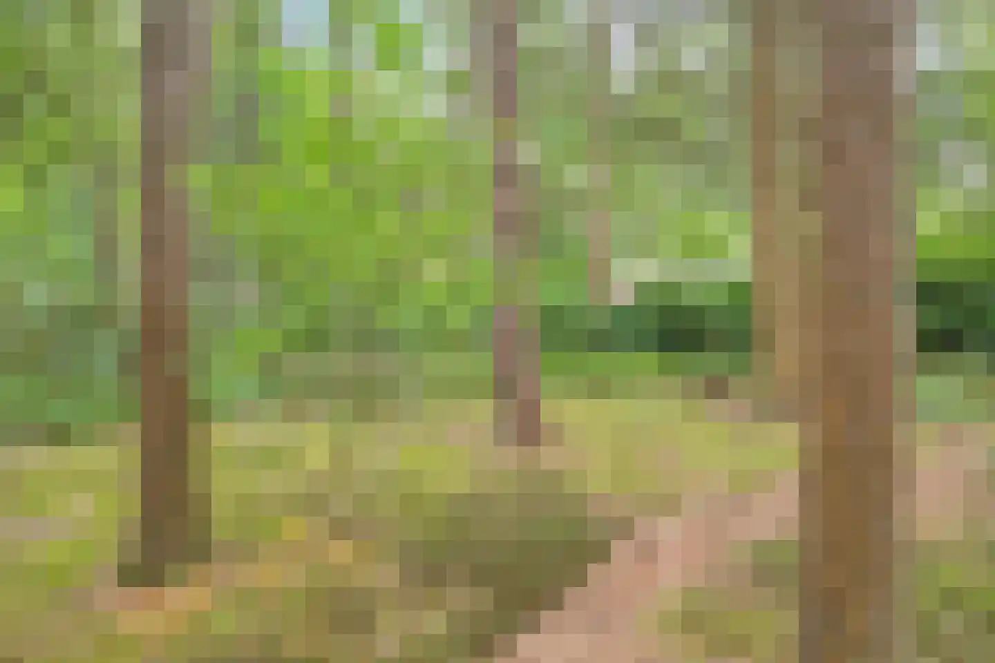 Hanendorperweg 416 Emst thumbnail 26