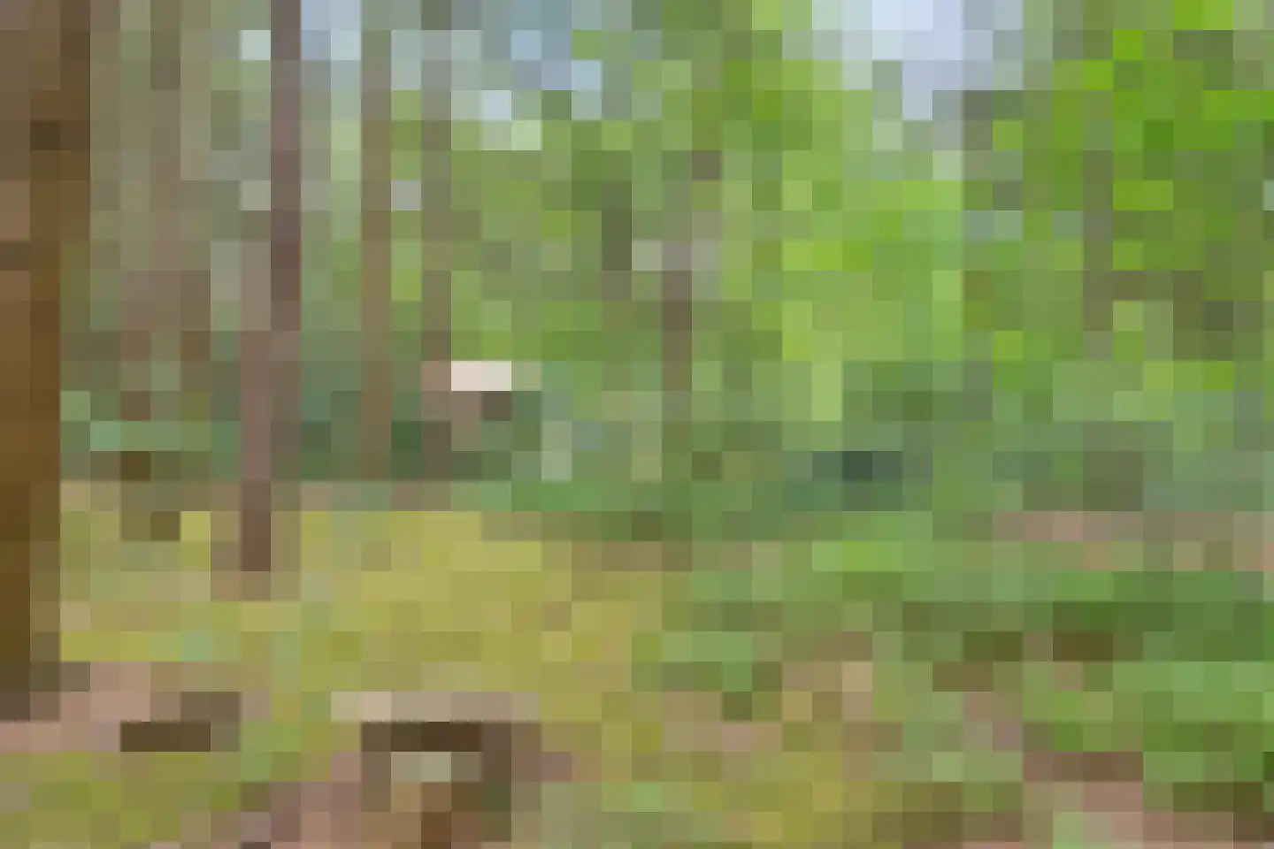 Hanendorperweg 416 Emst thumbnail 27