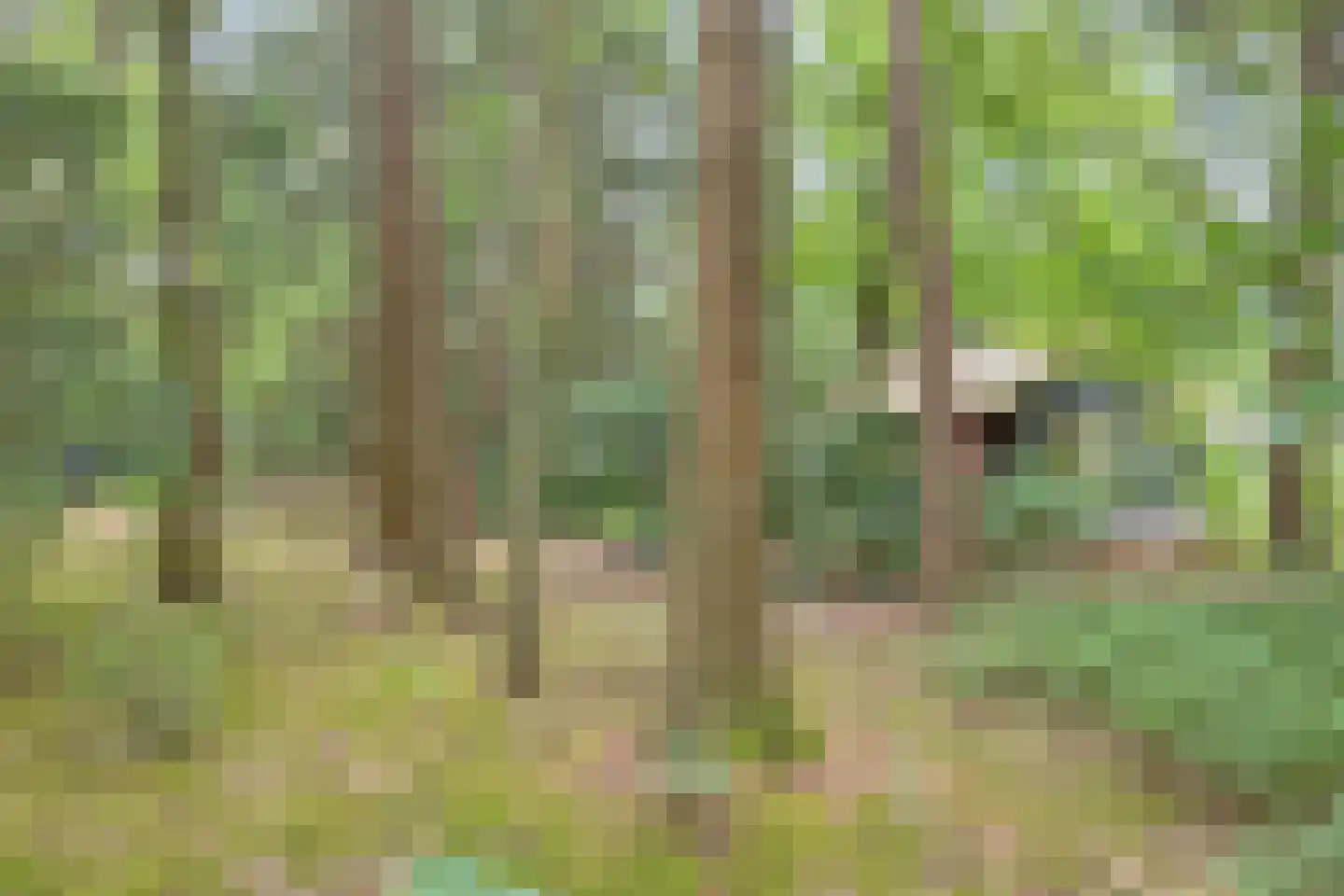 Hanendorperweg 416 Emst thumbnail 28