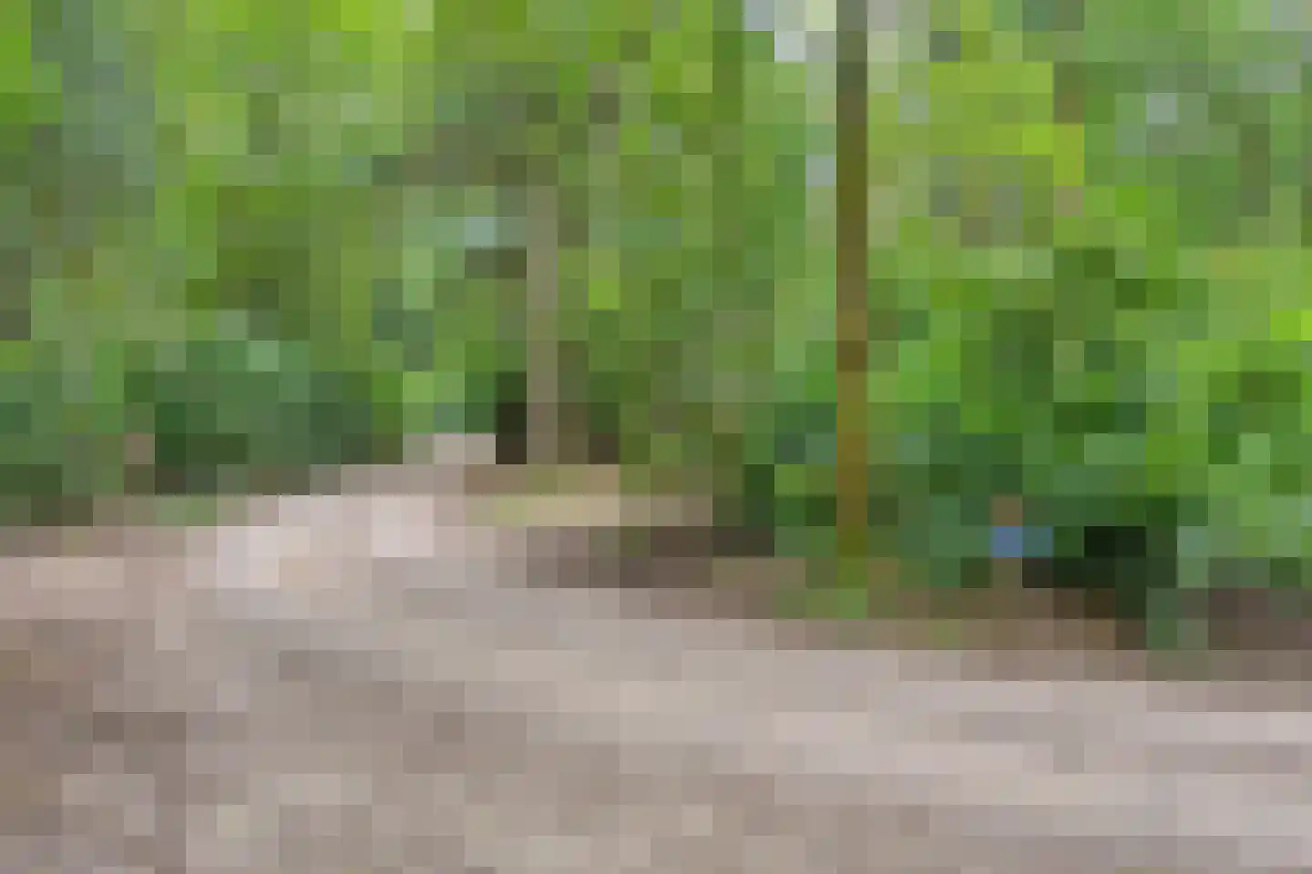 Hanendorperweg 416 Emst thumbnail 30