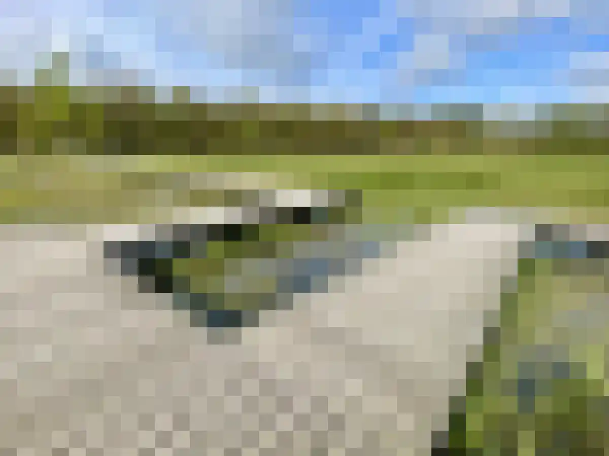 Hanendorperweg 416 Emst thumbnail 31