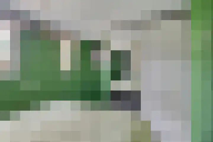 Hanendorperweg 512 008 Emst thumbnail 11