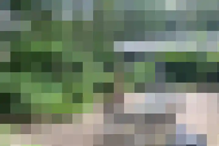 Hanendorperweg 512 008 Emst thumbnail 21