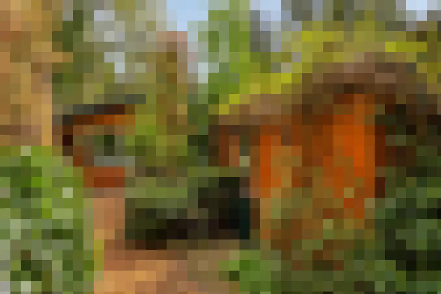 Hanendorperweg 512 067 Emst thumbnail 24