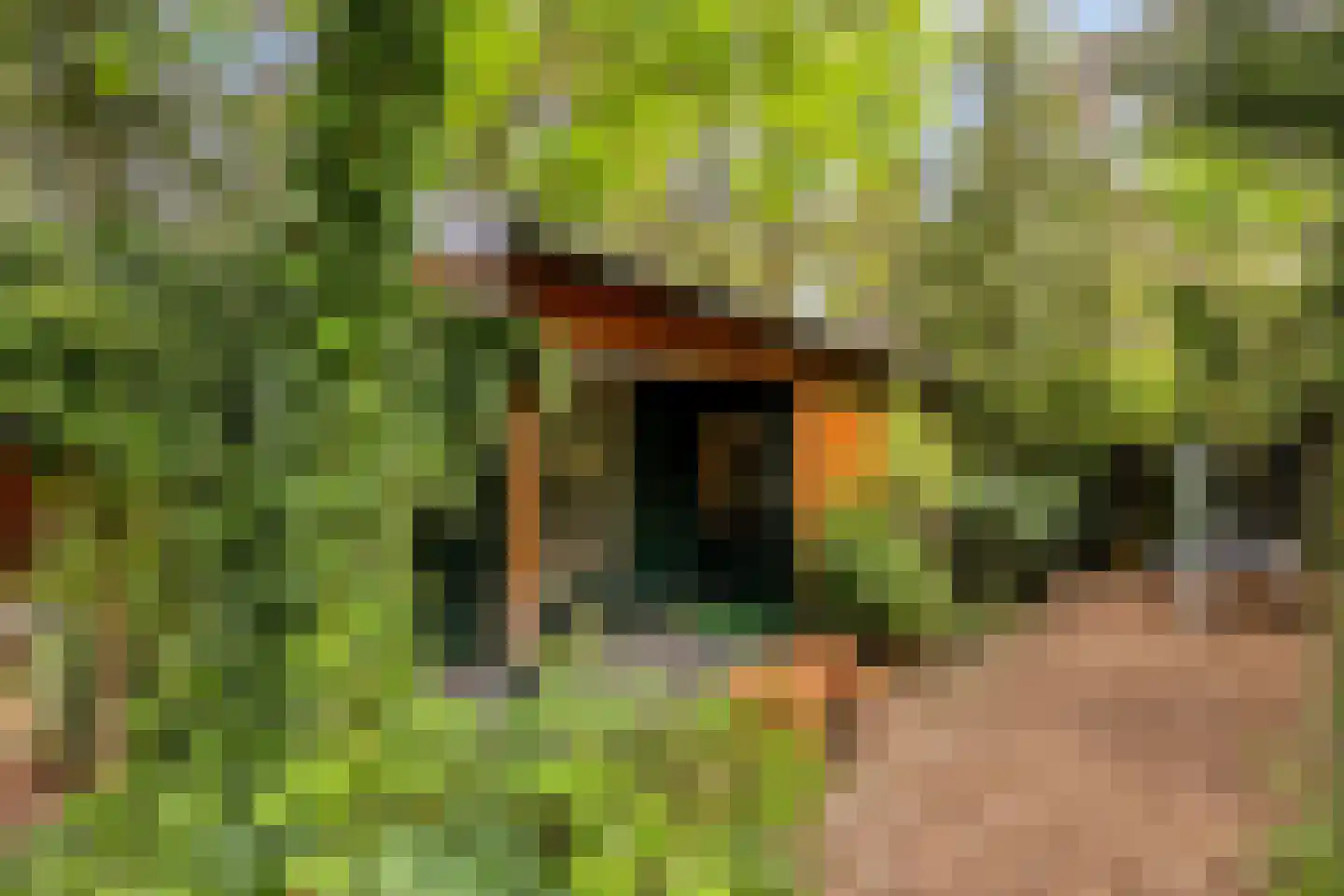Hanendorperweg 512 067 Emst thumbnail 25